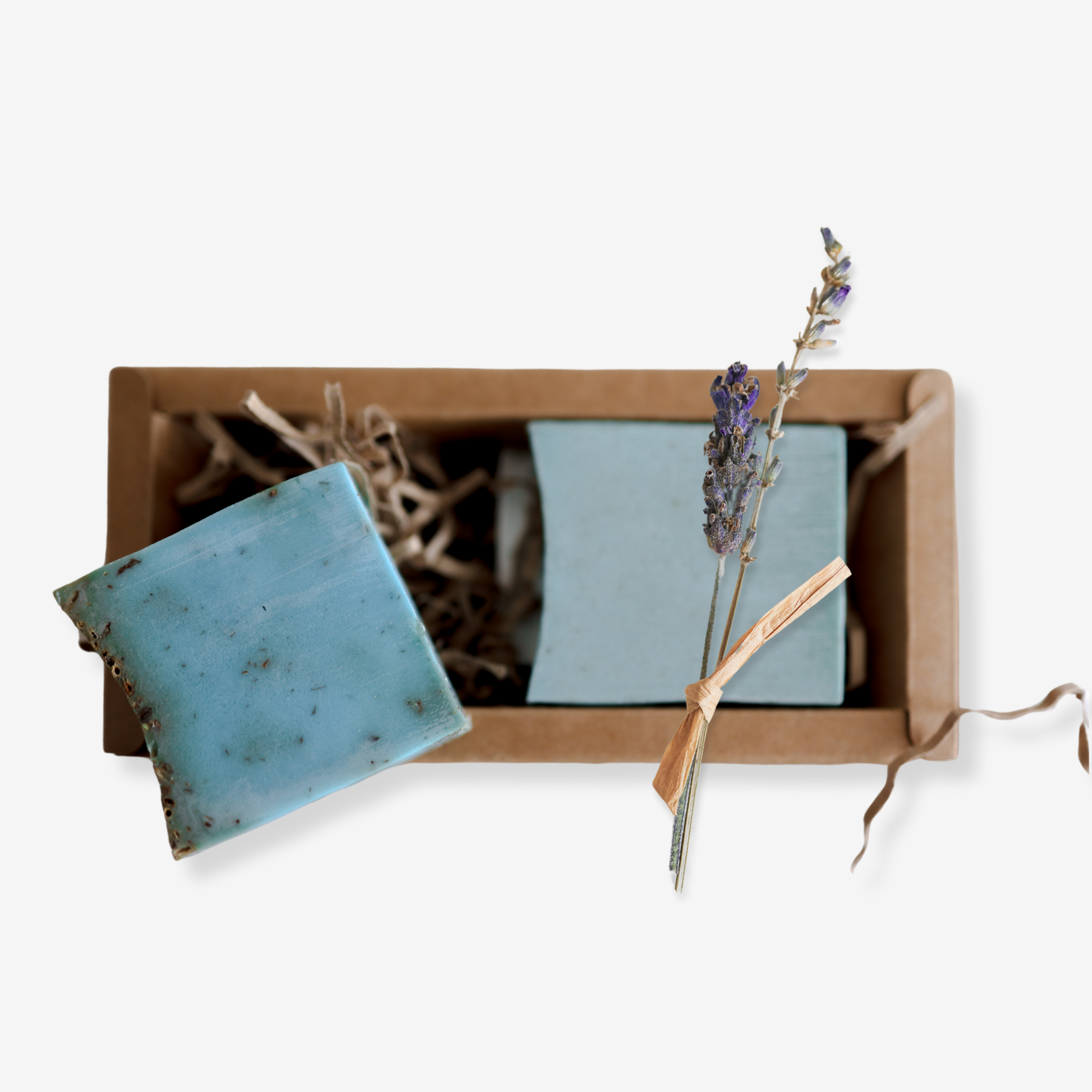 Handmade Negev Lavender Soap 2-pack in eco-friendly packaging with dried lavender sprig