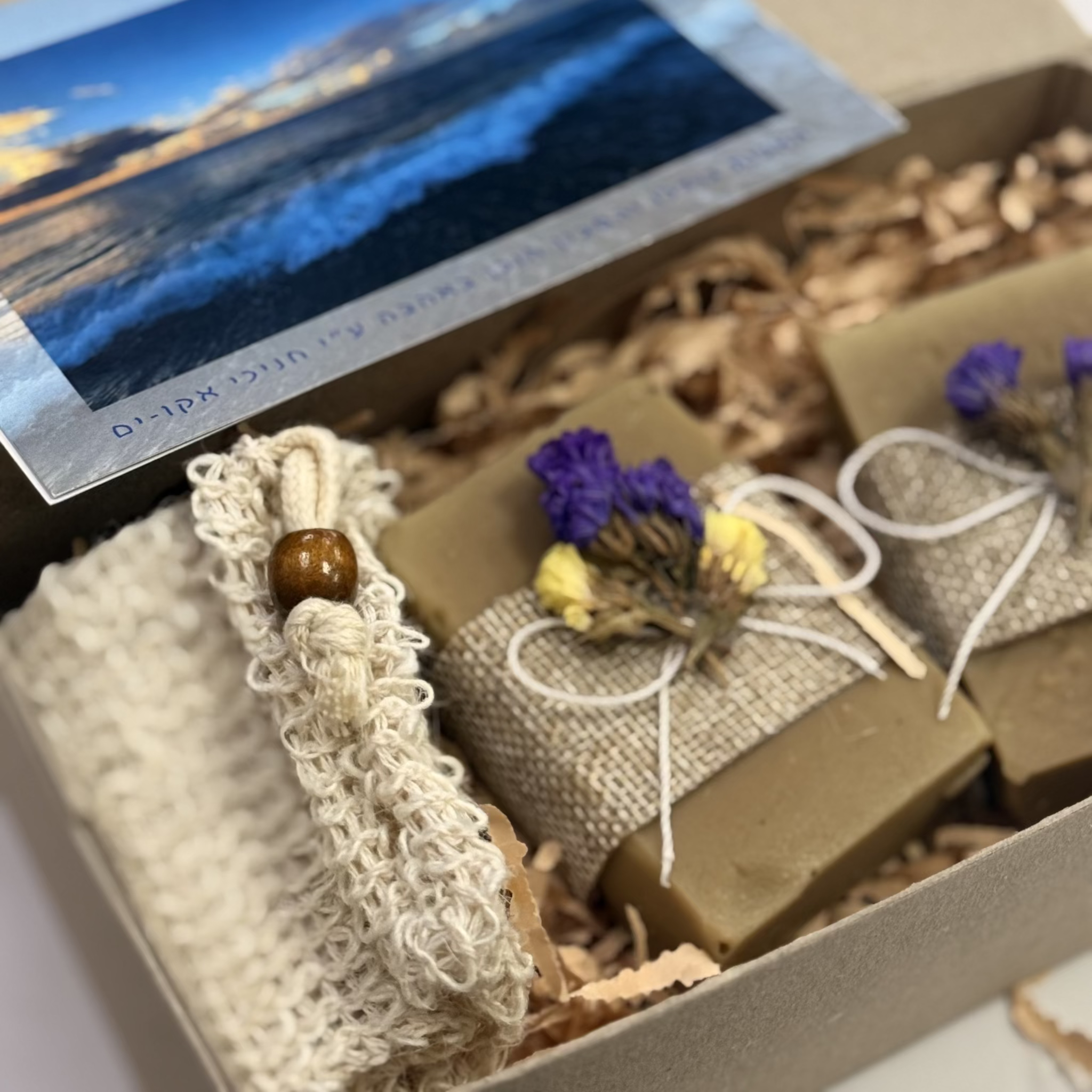 Eco-Yam Seaweed Soap bar with 2-in-1 natural luffa scrubber and soap holder