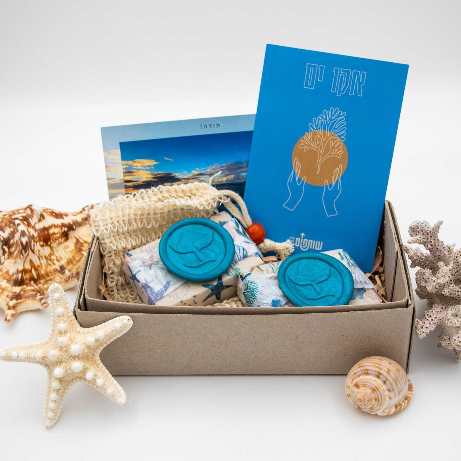 Eco-Yam Seaweed Soap gift set with two bars, luffa bag, and magnetic soap holder