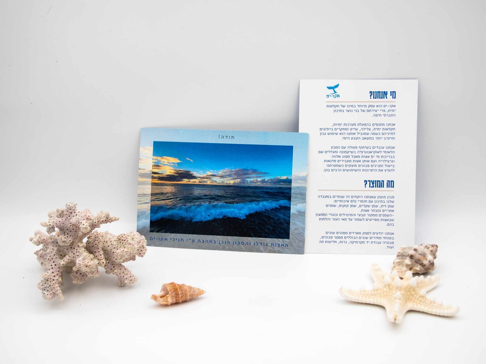 Eco-Yam Seaweed Soap Gift Set with two bars, natural luffa bag, and magnetic soap holder for gentle exfoliation and skin nourishment