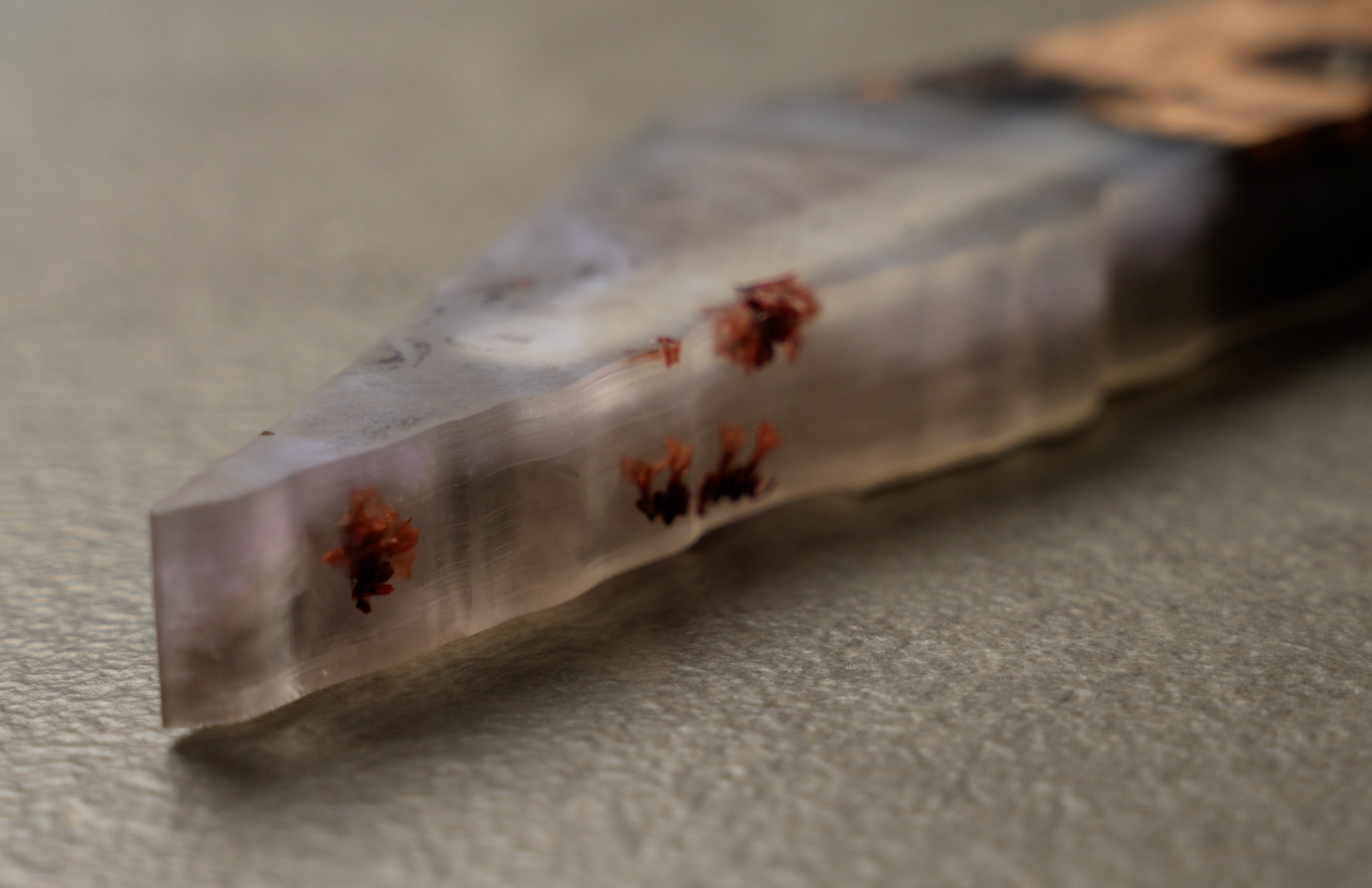 Close-up of handmade epoxy mezuzah with embedded dried flowers and olivewood frame.