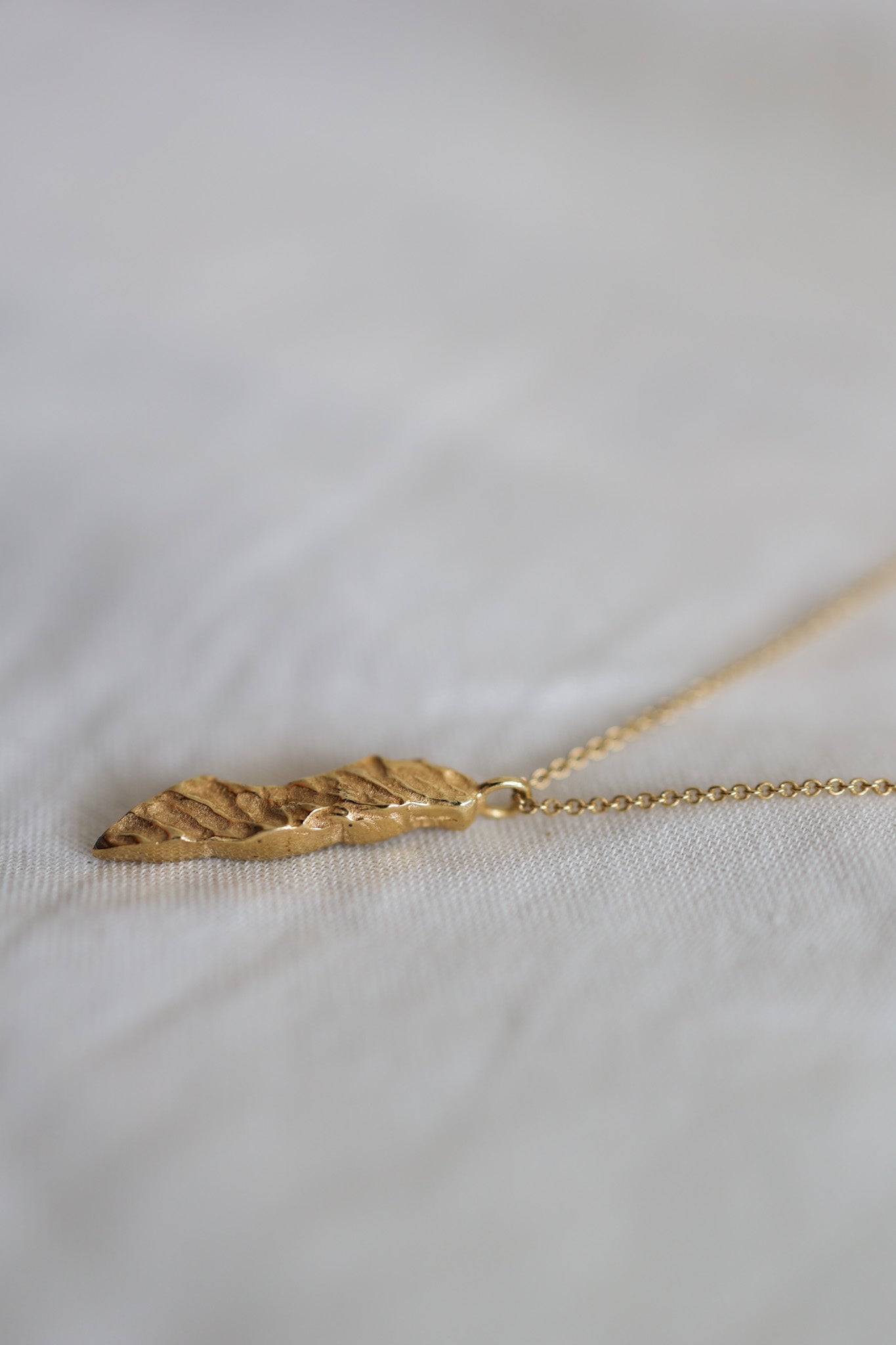 Closeup Photo of VER Gold Israel Necklace