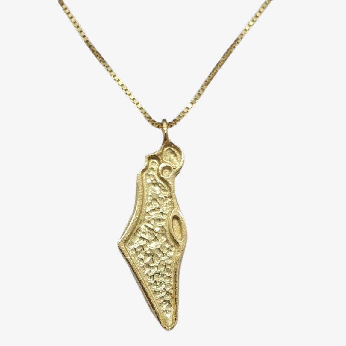 Gold Israel map pendant on a chain, featuring textured design and gentle contours.