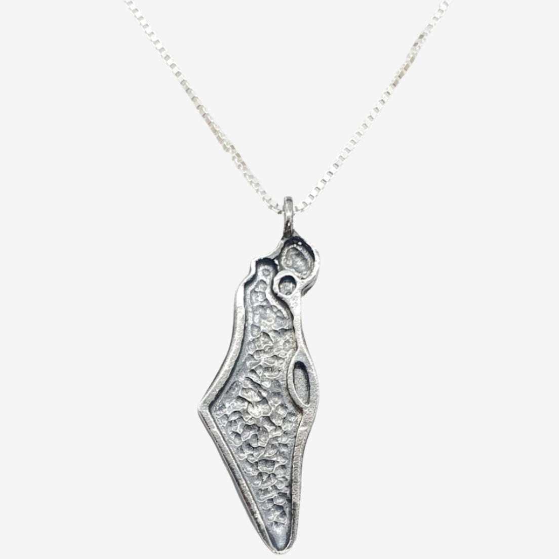 Men’s sterling silver Israel necklace pendant shaped like the Land of Israel with oxidized finish on silver chain