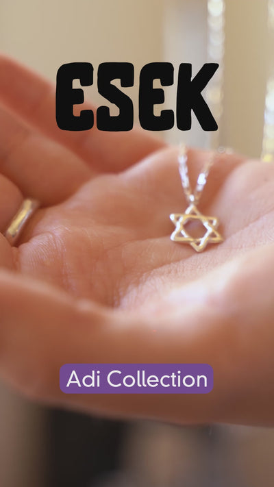 Silver Star of David Necklace